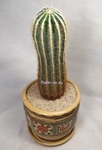 Нотокактус Вараси (Notocactus Warasii)